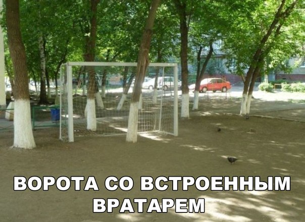 Забавные картинки из сети