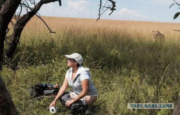 Подборка прикольных фото