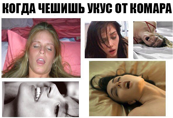 Ужасы и приколы из соцсетей 18+