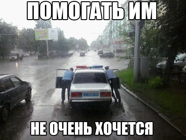Картинки и гифки, глаза порадовать