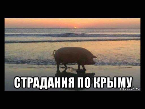 Официальная версия ФСБ по ситуации на границе в Крыму