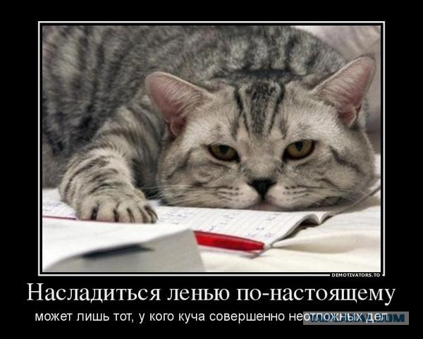 30 картинок с надписями