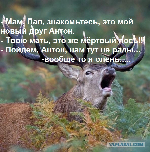 Как доставить соседям проблемы