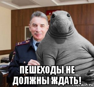 Полицию возмутили фотожабы на главного гаишника Юрия Дёмина