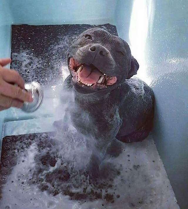 Подборка фотографий