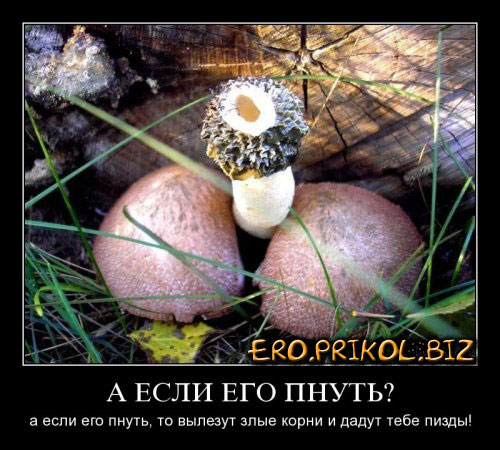 Легкая наркомания одолела внезапно