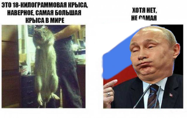 Лада не завелась у путина
