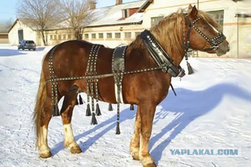 Калибры с крейсеров? Полное фуфло!