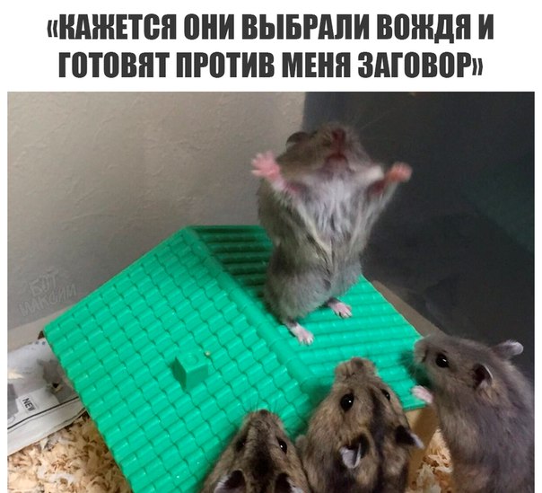 Очередная подборка школьного юмора на любителя