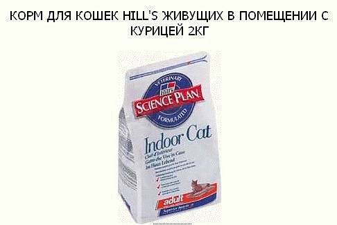 20 табличек и объявлений, которые убедят кого угодно в чем угодно