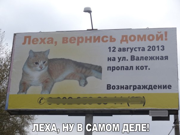 150 картинок для поднятия настроения!