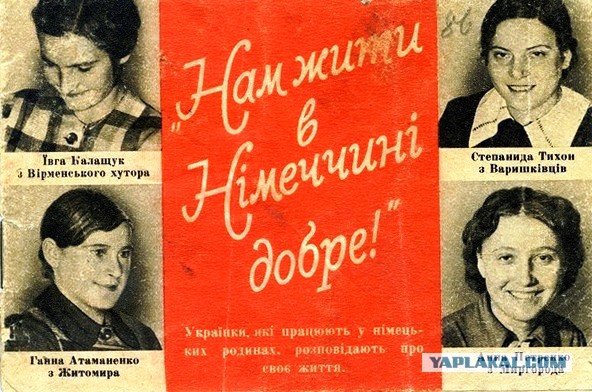Венгрия смертельно обиделась на Украину