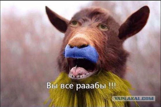 Суд в Москве зарегистрировал иск Навального к Путину