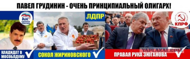 Грудинин: доходность населения — «ниже уровня канализации»