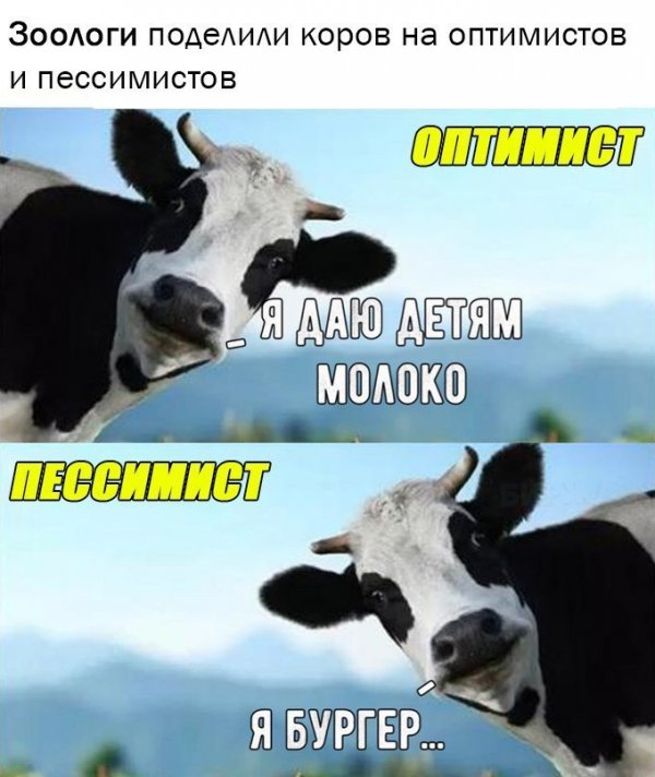 Нестандартный юмор