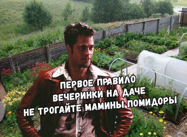 Нестандартный юмор