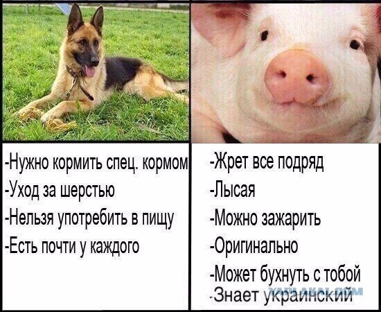 Немного картинок на вечер