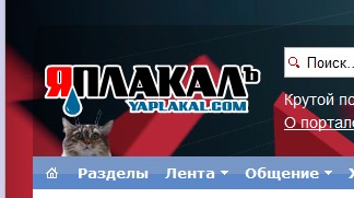 Котовторник 27.12.11