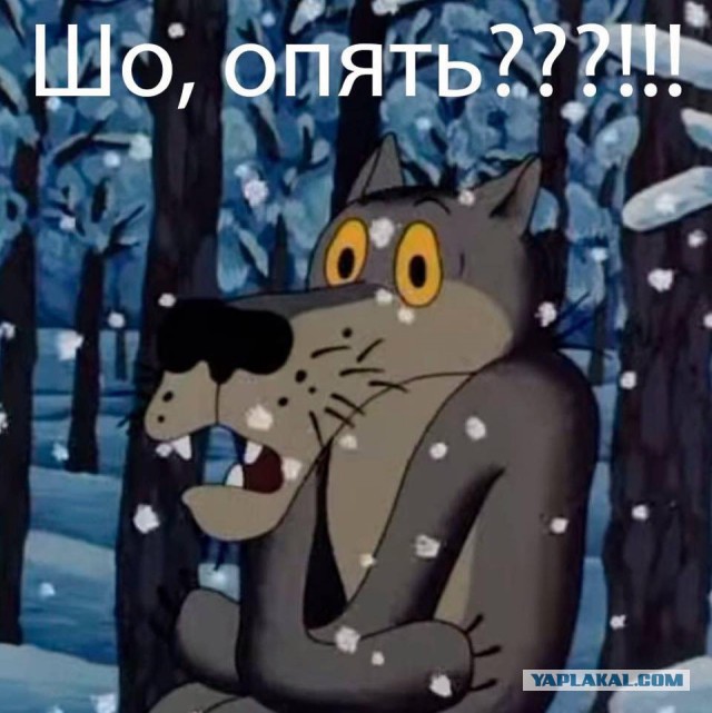 Проверка на отцовство станет обязательной!