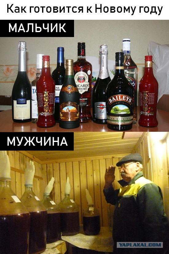 Смешные комментарии из социальных сетей 28.12.2018