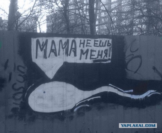 «Бродячие» философы: 17 глубокомысленных заметок в транспорте и на улицах