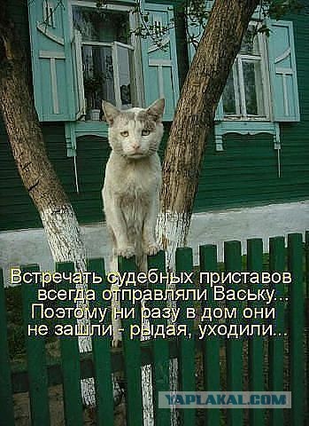 Депутат Госдумы предложил списать невозвратные долги по ЖКХ по всей России