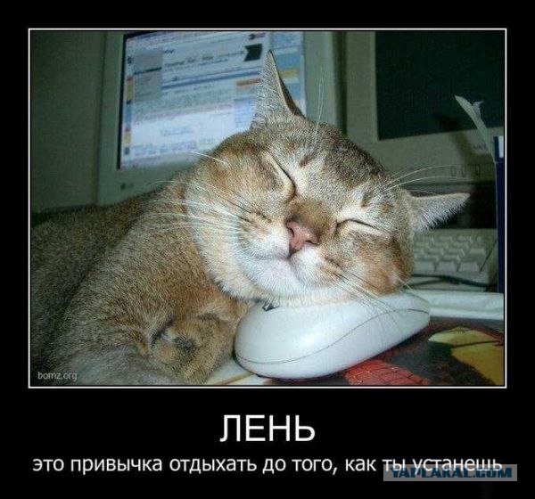 Скучные вы