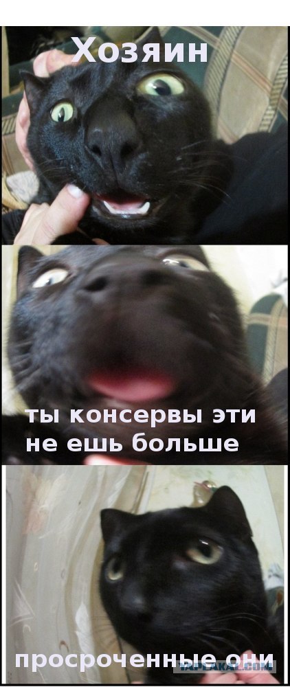 Увидел красивую фотку в инете