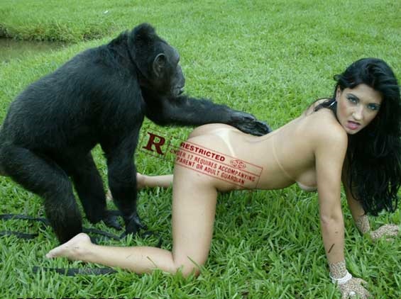 Woman fucks with a chimp in crazy zoophilia photo