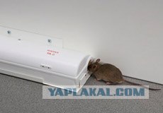 Угадайки