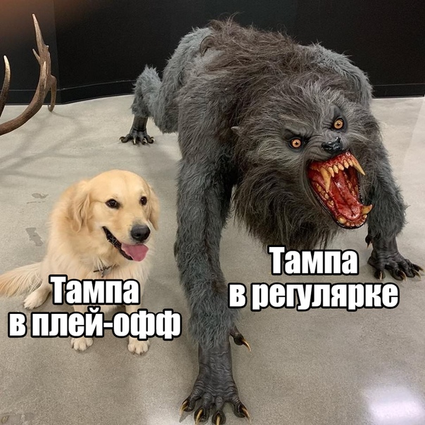 Хоккей Сезон 2018 - 2019 часть 7