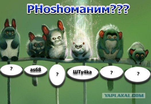 Битва фотожаберов №9. Обсуждение