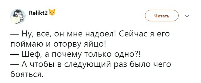 Картинки с надписями,истории и анекдоты