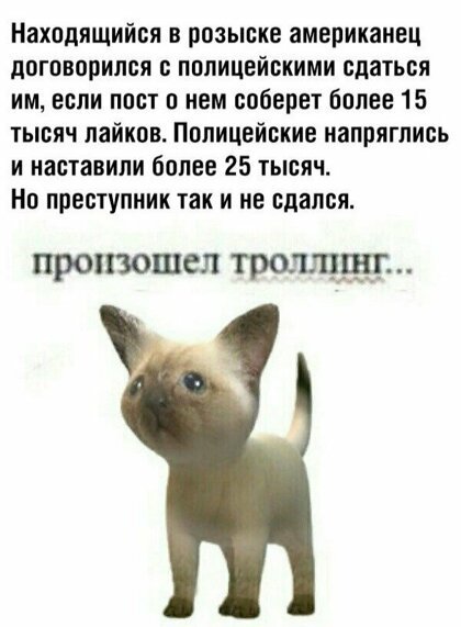 Картинки с надписями, истории и анекдоты