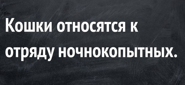 Немного картинок для настроения 25.01.20