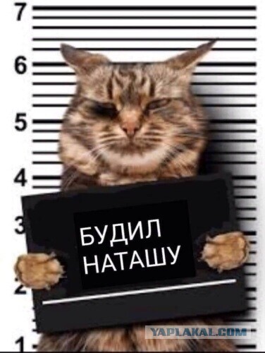 Бредзона 20.05.2020
