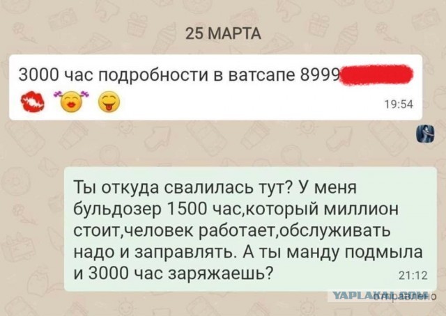 О жадных мужчинах. Или умных? (Немного мата)