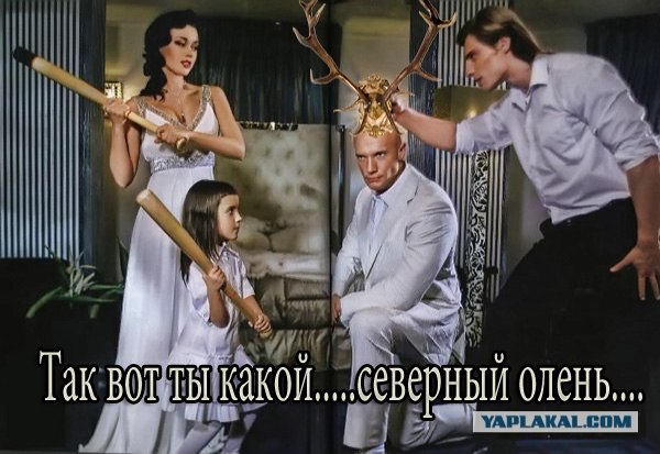 В яблоко (фотожаба)
