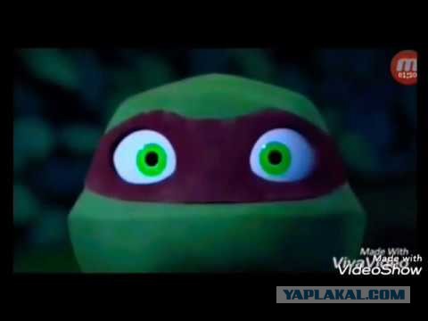 Гена - любитель похрустеть черепашками
