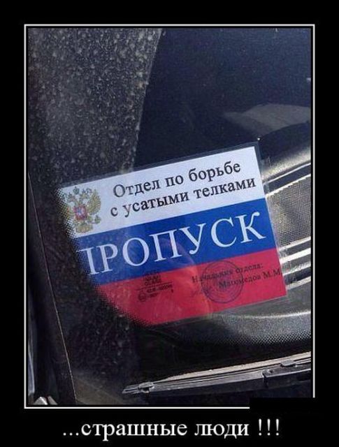 Картинки и буквы 17.12.2020