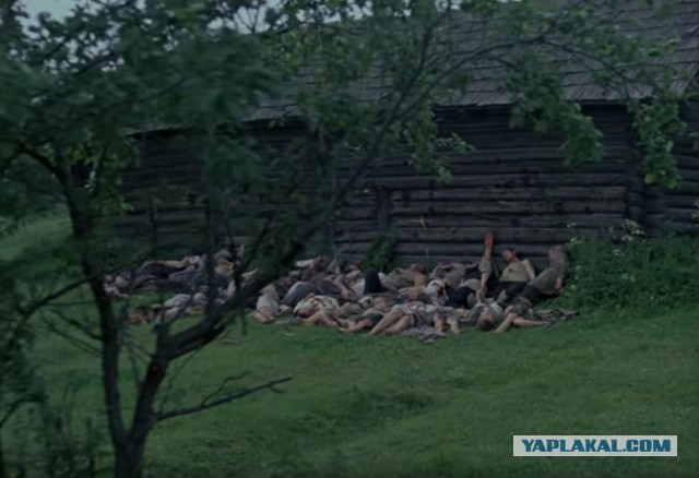 Иди и смотри