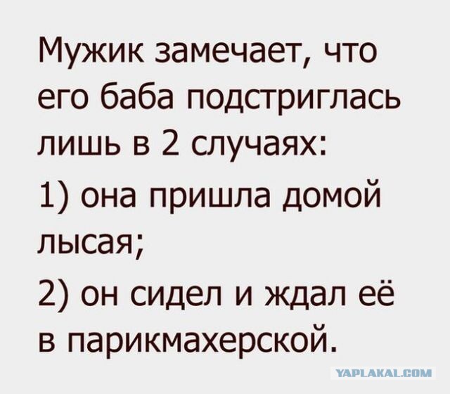 Картинки и мемы для настроения 01.07.2021