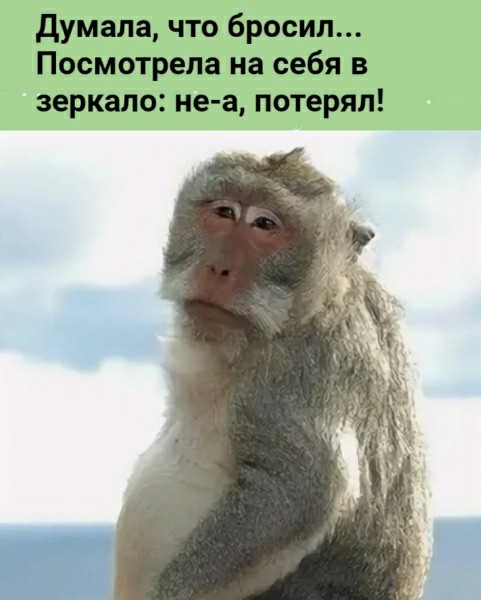 Так себе картинки 27.08.21