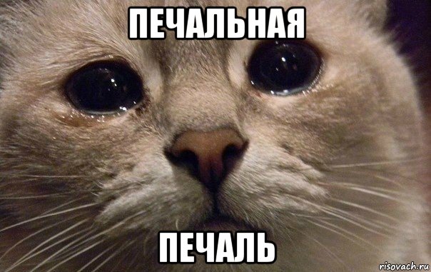 Эксперты зафиксировали рост стоимости шаурмы в России