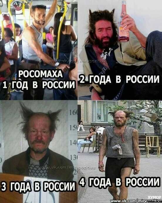 Росомаха уже не тот фото