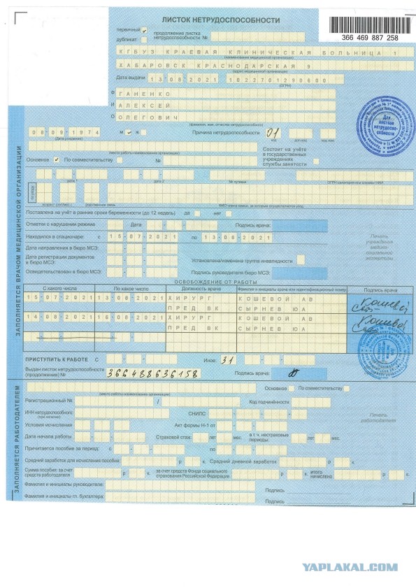 Кибердружины для поиска антиваксеров в Сети появятся в России