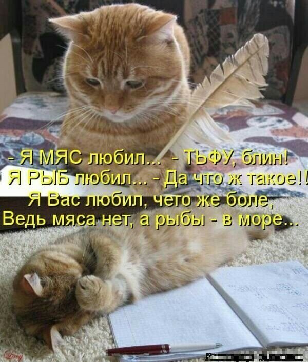 Прикольные и просто красивые картинки 27.04.2022