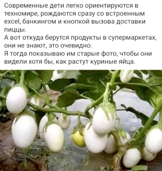 Фото-винегрет-4. Картинки ниапчём и обо всём