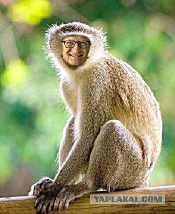 Пандемия. Коронавирус и съехавшие крыши. Россия и мир. Часть 35