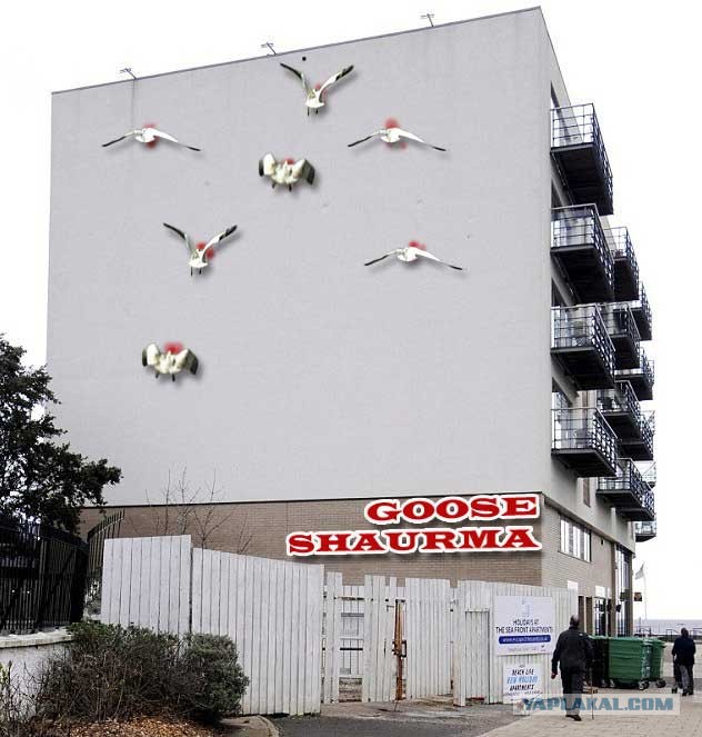 Дом, в который врезаются гуси
